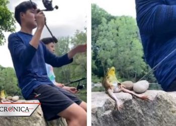 Difunden video de rana supuestamente pescando con jóvenes en Canadá
