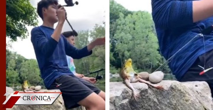 Difunden video de rana supuestamente pescando con jóvenes en Canadá