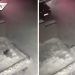 Niña sobrevive a caída desde un cuarto piso gracias a la nieve en el suelo (VIDEO)