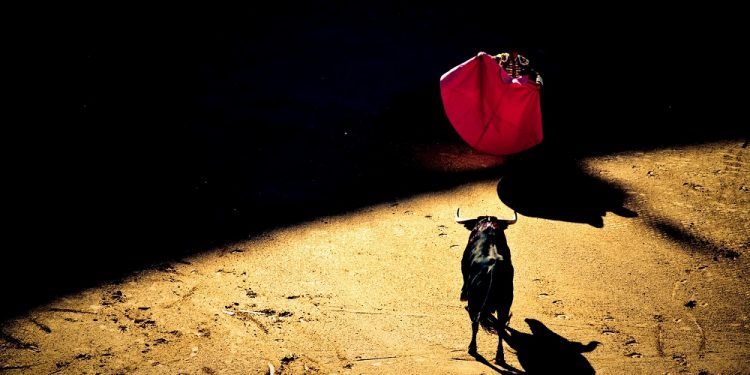 Movimiento Animalista de Puebla recibe amenazas por postura contra las corridas de toros