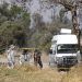 Autoridades detienen al «Pirulí», líder de la banda que mató a estudiantes de Medicina en Huejotzingo