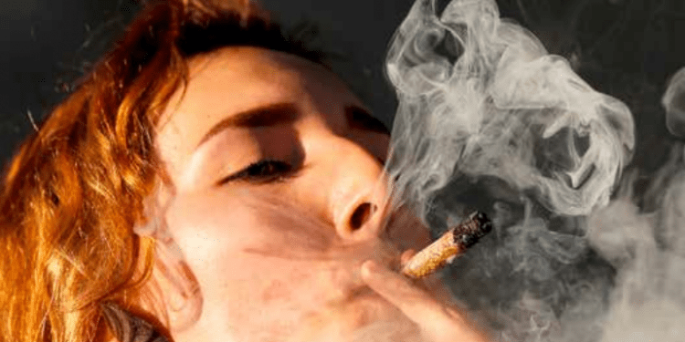 Legalización de la mariguana, nunca es tarde