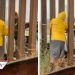 Captan a agente de migración comprando tamales a mexicano en el muro fronterizo
