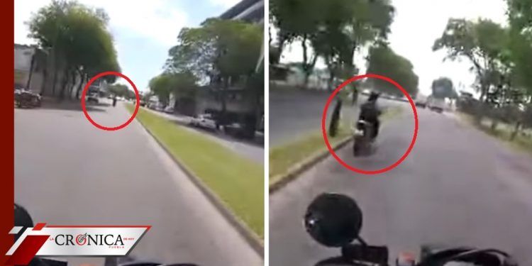 Policía de Argentina persigue a ladrones hasta su casa con tal de detenerlos (VIDEO)