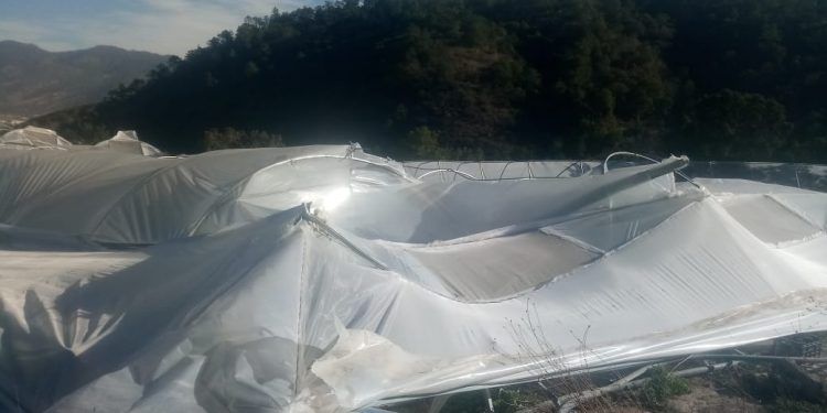 Más de 800 viviendas afectadas en Aquixtla por fuertes vientos 