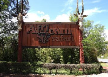 Africam Safari cierra sus puertas ante aumento de contagios COVID-19 en Puebla