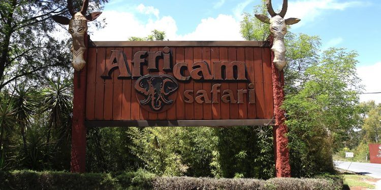 Africam Safari cierra sus puertas ante aumento de contagios COVID-19 en Puebla