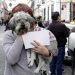 ¿Mascota de regalo? Evita que sea callejera en enero