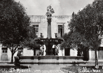 IN MEMORIAM / La fuente