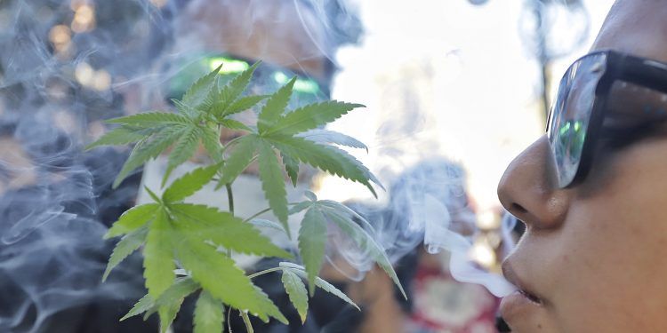 Exigen al Congreso de Puebla legalizar uso lúdico y medicinal de la marihuana