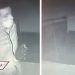 Grupo de hombres entra a robar a casa de Edomex y se lleva hasta los regalos