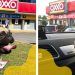 Captan a empleados del OXXO construyendo casa para perro después de adoptarlo