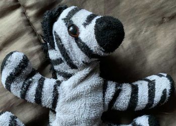 The Cebrit: la historia de un papá que busca el peluche “sarnoso” de su hija