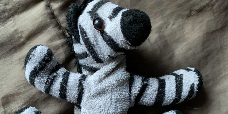 The Cebrit: la historia de un papá que busca el peluche “sarnoso” de su hija