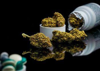 Reglamento para el uso medicinal del Cannabis