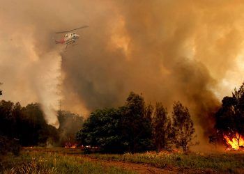 El 2020 empata con 2016 como el año más cálido en la historia