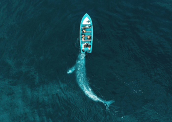 Bahía de Loreto, el reto de Cheires