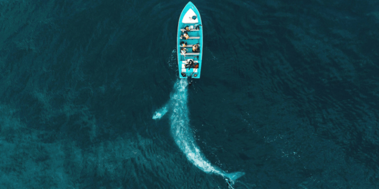 Bahía de Loreto, el reto de Cheires