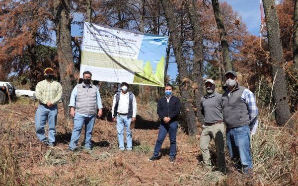 Saneamiento del cerro Zapotecas es una realidad en San Pedro Cholula
