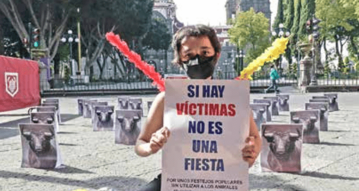 Colectivos exigen prohibir corridas de toros en Puebla
