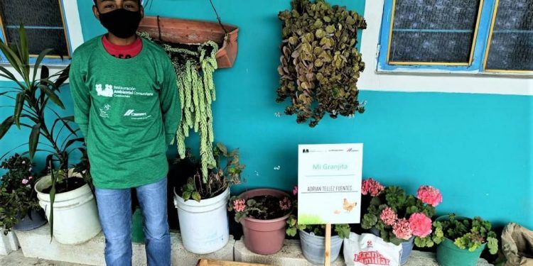 CEMEX promueve en línea educación ambiental