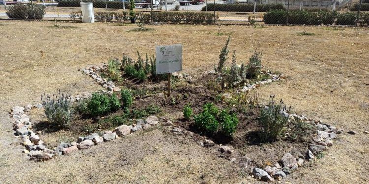 Cementera crea «Botiquín Verde» en Puebla