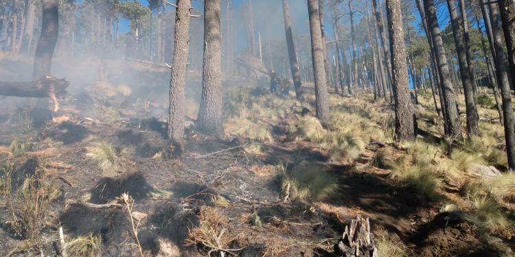 Incrementan incendios forestales en Puebla; se registran 56 