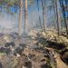Incrementan incendios forestales en Puebla; se registran 56 
