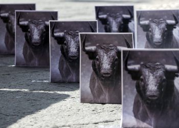 Avanza prohibición de tauromaquia en la ciudad de Puebla