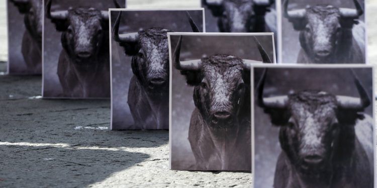 Avanza prohibición de tauromaquia en la ciudad de Puebla