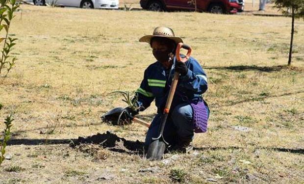 San Pedro Cholula realiza trabajos de mantenimiento en la Reserva Territorial Quetzalcóatl