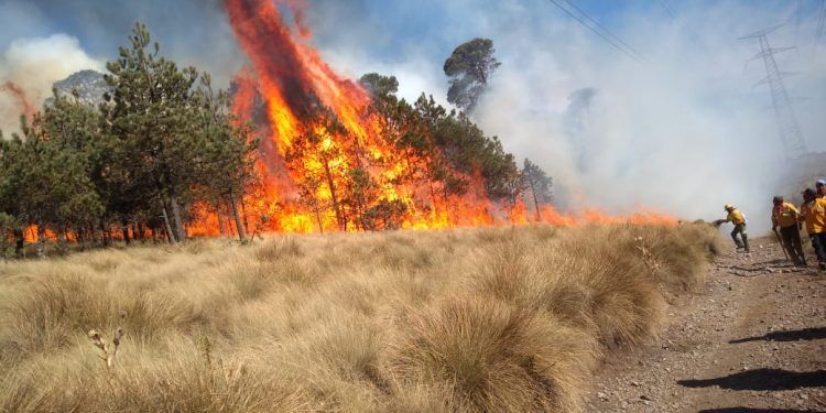 México sufre 75 incendios forestales activos que afectan a 20 estados