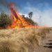 México sufre 75 incendios forestales activos que afectan a 20 estados