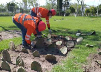 Instalan en Puebla huerto para fomentar cuidado al medio ambiente