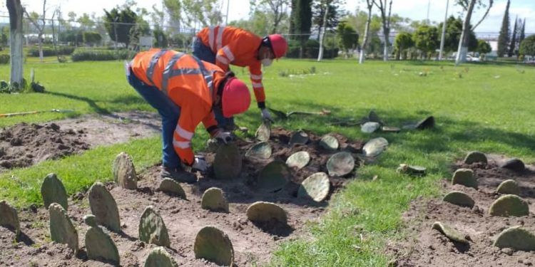 Instalan en Puebla huerto para fomentar cuidado al medio ambiente