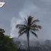 Reportan enfrentamiento armado en Nayarit (VIDEO)