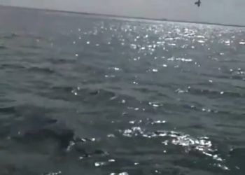 Se desploma avioneta en Laguna Nichupté, Cancún; hay dos muertos 