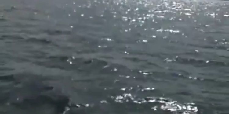 Se desploma avioneta en Laguna Nichupté, Cancún; hay dos muertos 