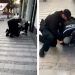 Arrestan brutalmente a hombre por no usar cubrebocas en República Checa
