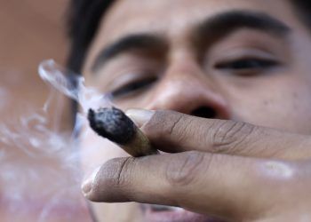 Legalización de la Cannabis no frenará el narcotráfico: Barbosa 