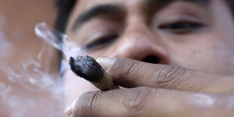 Legalización de la Cannabis no frenará el narcotráfico: Barbosa 