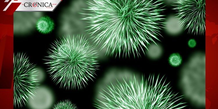 Detectan variante de coronavirus en India; la califican de ‘doble mutante’
