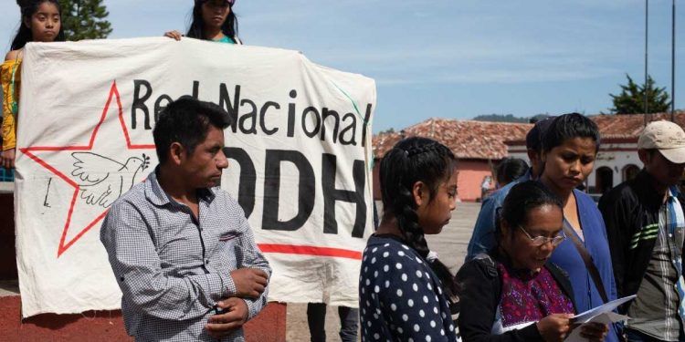Suman 45 activistas asesinados en los primeros dos años del gobierno de AMLO: ONGs