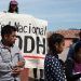 Suman 45 activistas asesinados en los primeros dos años del gobierno de AMLO: ONGs