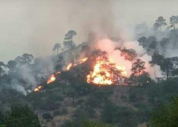 Continúa ardiendo el Cerro de Puente Seco en Tetela de Ocampo