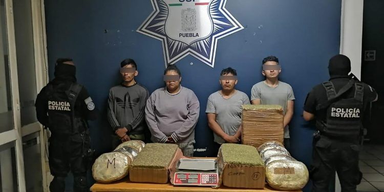 Puebla, cerrada a las drogas; decomisan 50 kilos de marihuana proveniente de Michoacán