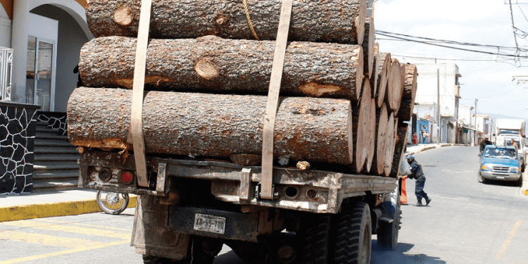 Se duplican delitos contra el ambiente