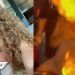 Queman cara de turista con bebida flameante en bar de Cancún