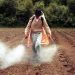 México, uno de los 11 países que concentra la mayor demanda de plaguicidas