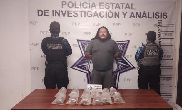Hombre es detenido por traficar anfibios en peligro de extinción